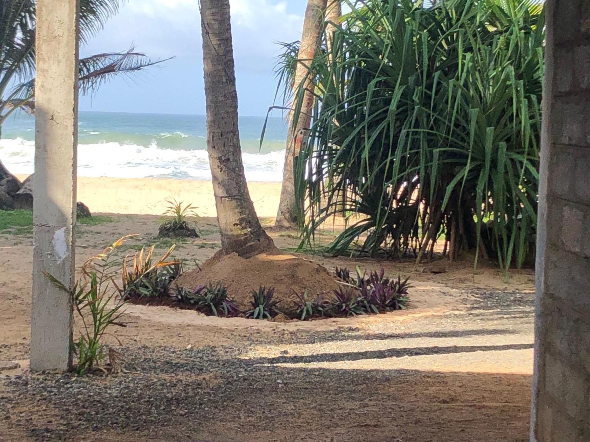 شقة Mandy House Habaraduwa Central المظهر الخارجي الصورة